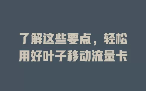 了解这些要点，轻松用好叶子移动流量卡