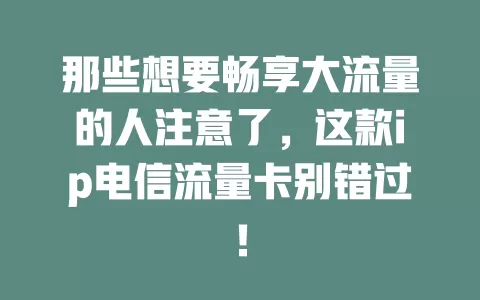 那些想要畅享大流量的人注意了，这款ip电信流量卡别错过！