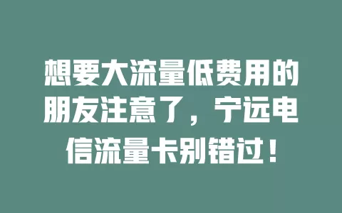 想要大流量低费用的朋友注意了，宁远电信流量卡别错过！