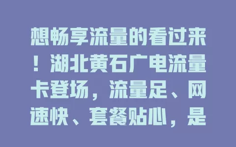 想畅享流量的看过来！湖北黄石广电流量卡登场，流量足、网速快、套餐贴心，是你的优质之选