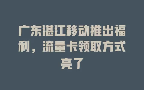 广东湛江移动推出福利，流量卡领取方式亮了