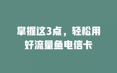 掌握这3点，轻松用好流量鱼电信卡
