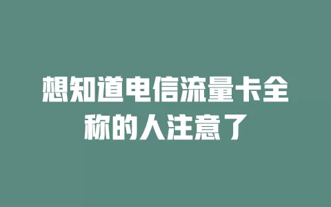 想知道电信流量卡全称的人注意了