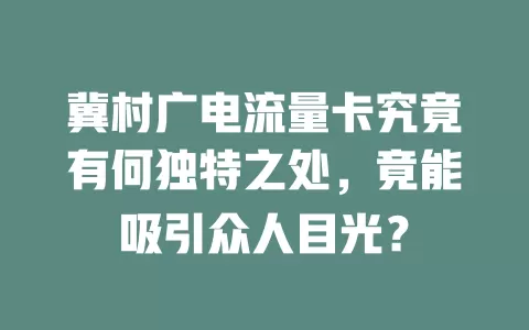 冀村广电流量卡究竟有何独特之处，竟能吸引众人目光？