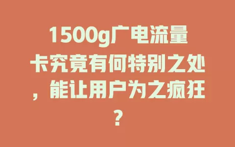 1500g广电流量卡究竟有何特别之处，能让用户为之疯狂？