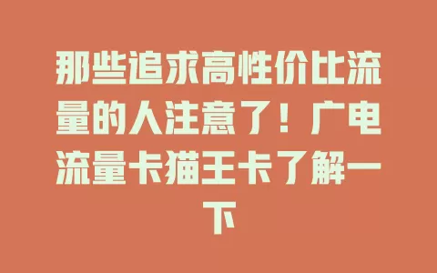 那些追求高性价比流量的人注意了！广电流量卡猫王卡了解一下