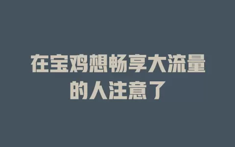在宝鸡想畅享大流量的人注意了
