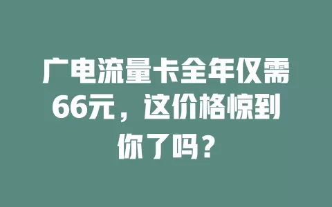 广电流量卡全年仅需66元，这价格惊到你了吗？