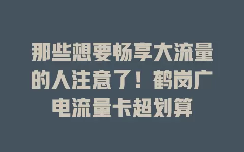 那些想要畅享大流量的人注意了！鹤岗广电流量卡超划算
