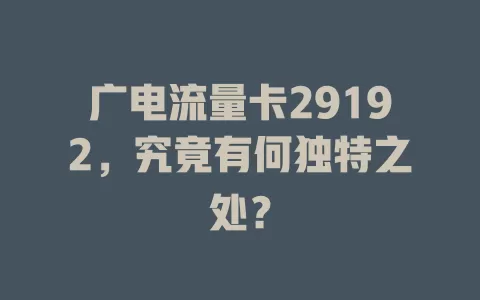 广电流量卡29192，究竟有何独特之处？