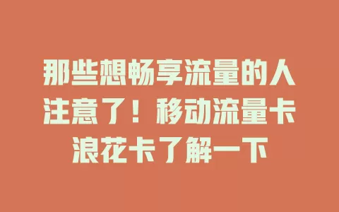 那些想畅享流量的人注意了！移动流量卡浪花卡了解一下