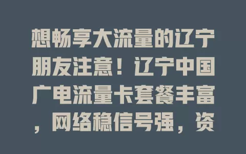 想畅享大流量的辽宁朋友注意！辽宁中国广电流量卡套餐丰富，网络稳信号强，资费性价比高，告别流量焦虑，开启精彩流量生活