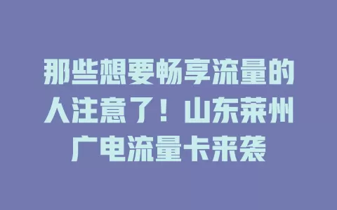 那些想要畅享流量的人注意了！山东莱州广电流量卡来袭