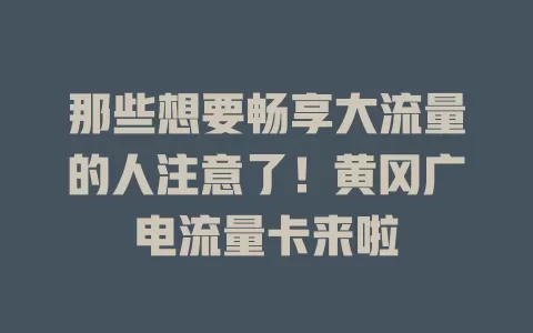 那些想要畅享大流量的人注意了！黄冈广电流量卡来啦