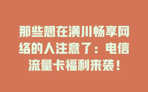 那些想在潢川畅享网络的人注意了：电信流量卡福利来袭！