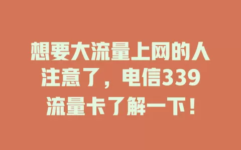 想要大流量上网的人注意了，电信339流量卡了解一下！
