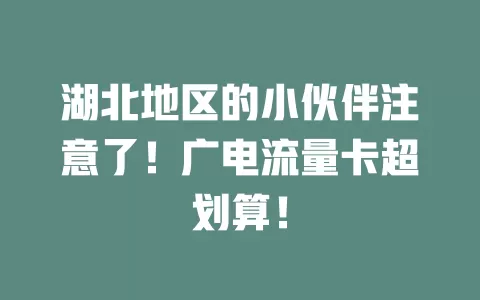 湖北地区的小伙伴注意了！广电流量卡超划算！