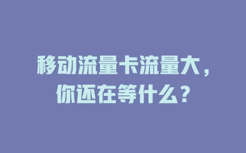 移动流量卡流量大，你还在等什么？