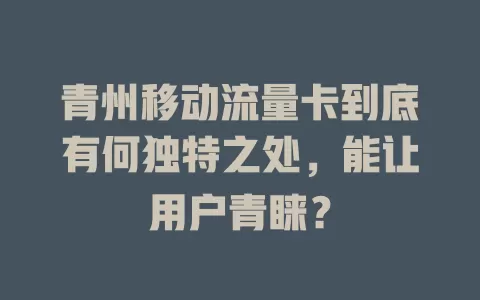 青州移动流量卡到底有何独特之处，能让用户青睐？