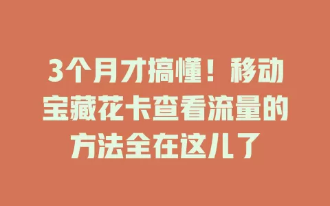 3个月才搞懂！移动宝藏花卡查看流量的方法全在这儿了