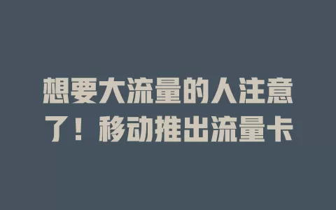 想要大流量的人注意了！移动推出流量卡