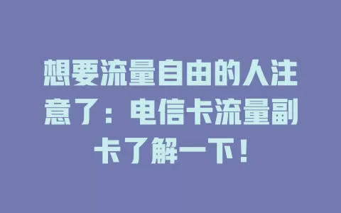 想要流量自由的人注意了：电信卡流量副卡了解一下！