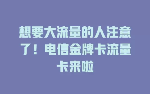 想要大流量的人注意了！电信金牌卡流量卡来啦