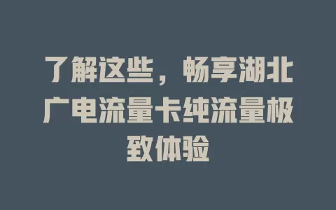 了解这些，畅享湖北广电流量卡纯流量极致体验