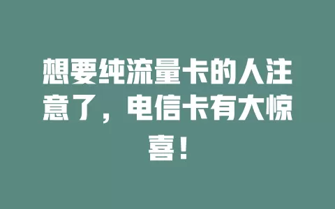 想要纯流量卡的人注意了，电信卡有大惊喜！