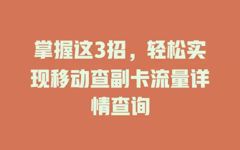 掌握这3招，轻松实现移动查副卡流量详情查询