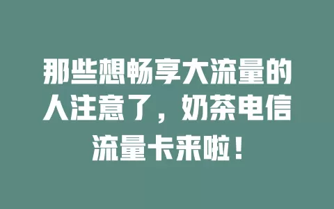 那些想畅享大流量的人注意了，奶茶电信流量卡来啦！