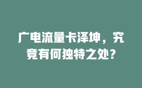 广电流量卡泽坤，究竟有何独特之处？
