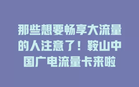 那些想要畅享大流量的人注意了！鞍山中国广电流量卡来啦