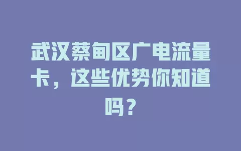 武汉蔡甸区广电流量卡，这些优势你知道吗？