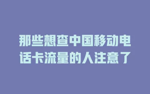那些想查中国移动电话卡流量的人注意了