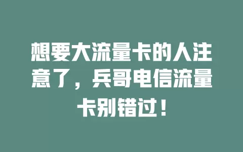 想要大流量卡的人注意了，兵哥电信流量卡别错过！