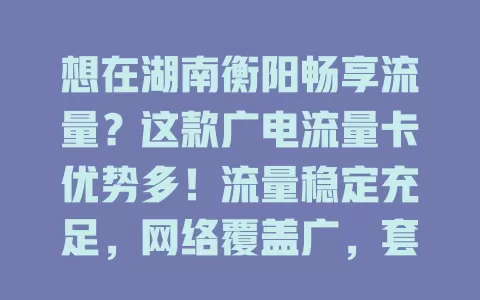 想在湖南衡阳畅享流量？这款广电流量卡优势多！流量稳定充足，网络覆盖广，套餐多样按需选，是上网好帮手！