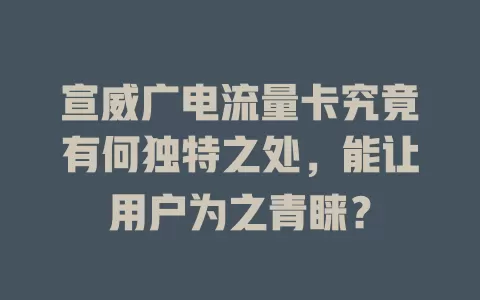 宣威广电流量卡究竟有何独特之处，能让用户为之青睐？