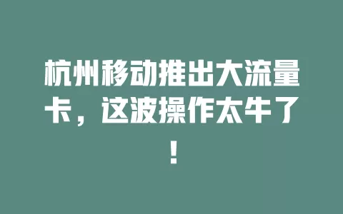 杭州移动推出大流量卡，这波操作太牛了！