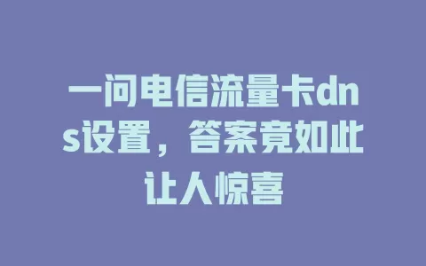 一问电信流量卡dns设置，答案竟如此让人惊喜
