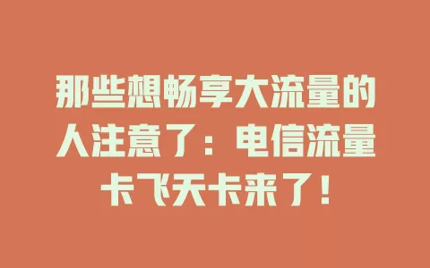 那些想畅享大流量的人注意了：电信流量卡飞天卡来了！
