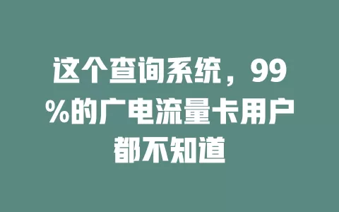 这个查询系统，99%的广电流量卡用户都不知道