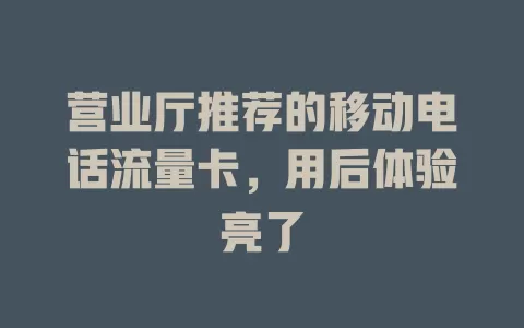 营业厅推荐的移动电话流量卡，用后体验亮了