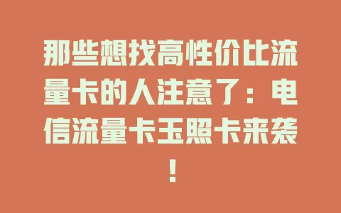 那些想找高性价比流量卡的人注意了：电信流量卡玉照卡来袭！