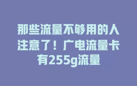 那些流量不够用的人注意了！广电流量卡有255g流量