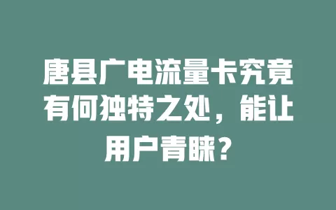 唐县广电流量卡究竟有何独特之处，能让用户青睐？