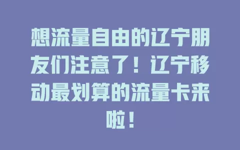 想流量自由的辽宁朋友们注意了！辽宁移动最划算的流量卡来啦！