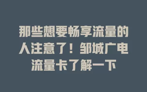 那些想要畅享流量的人注意了！邹城广电流量卡了解一下