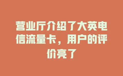 营业厅介绍了大英电信流量卡，用户的评价亮了