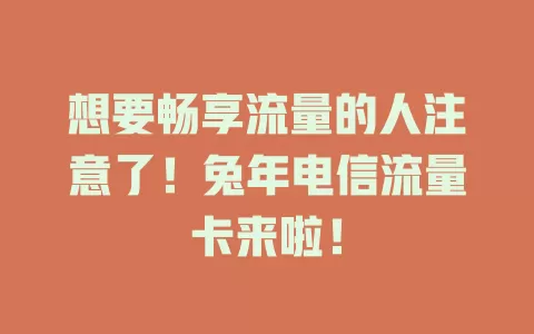 想要畅享流量的人注意了！兔年电信流量卡来啦！